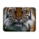 Search for smithsonian magnets Animals