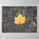 Search for contrasting posters Autumn