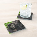 Search for ap barware Forest