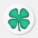 Search for charms magnets Irish