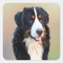 Search for bernese stickers Bmd