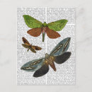 Search for flies postcards Flowers