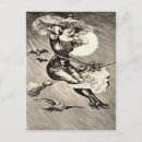 Search for flying bats postcards Owl