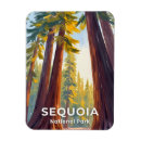 Search for sequoia national park magnets Travel