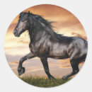Search for black horse stickers Animal