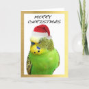 Search for christmas budgie Green