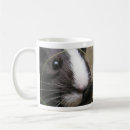 Search for pig face mugs Rodent