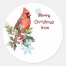 Search for winter birds stickers Xmas