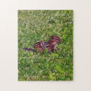 Search for pencil drawing puzzles Cute