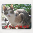 Search for calico mousepads Kitty