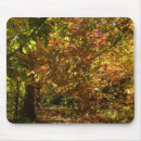 Search for canopy mousepads Forest