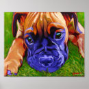 Search for boxer puppy posters Pets