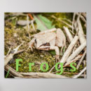 Search for swamp photography Amphibians