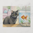 Search for goldfish postcards Wish
