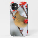 Search for winter berries iphone cases Cardinal