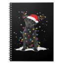 Search for labrador notebooks Pug