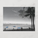 Search for black and white palm trees postcards Travel