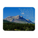 Search for 1 3 magnets Inspirational