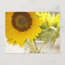 Search for sunflower postcards Country