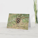 Search for pine christmas cards Nature