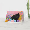 Search for black cat easter cards Kitten