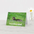 Search for happy birthday cat lover postcards Kitty