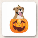 Search for pitbull coasters Cute