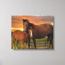 Search for ponies canvas prints Animals