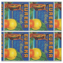Search for citrus fabric Florida