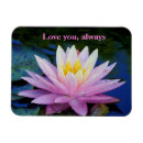 Search for waterlily magnets Lotus