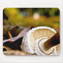 Search for mushroom mousepads Brown
