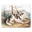 Search for zoology posters Mammal