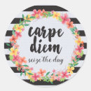 Search for carpe diem stickers Slogan