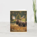 Search for wilderness birthday cards Rustic