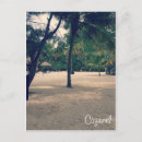 Search for cozumel postcards Mexico