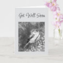 Search for wildlife get well cards Watercolor
