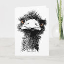 Search for funny emu cards Bird
