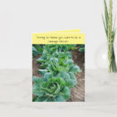 Search for cabbage cards Funny