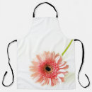 Search for gerberas aprons Daisy
