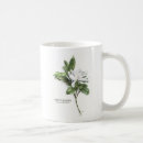 Search for gardenias mugs Botanical