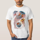 Search for jelly mens tshirts Ernst haeckel