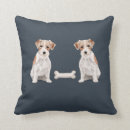 Search for wire haired Wire haired jack russell