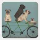 Search for tandem Funny dogs