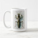 Search for mantis mugs Entomology