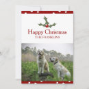 Search for holly and ivy christmas cards Winter