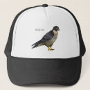 Search for prey hats Falcon