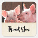 Search for baby piglet stickers Piggy