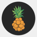 Search for cool basketball stickers Fun