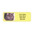 Search for animal lover return address labels Cats