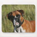 Search for headshot mousepads Canine photographer